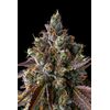Strawberry Skrilla, Фасовка: 3, изображение 3